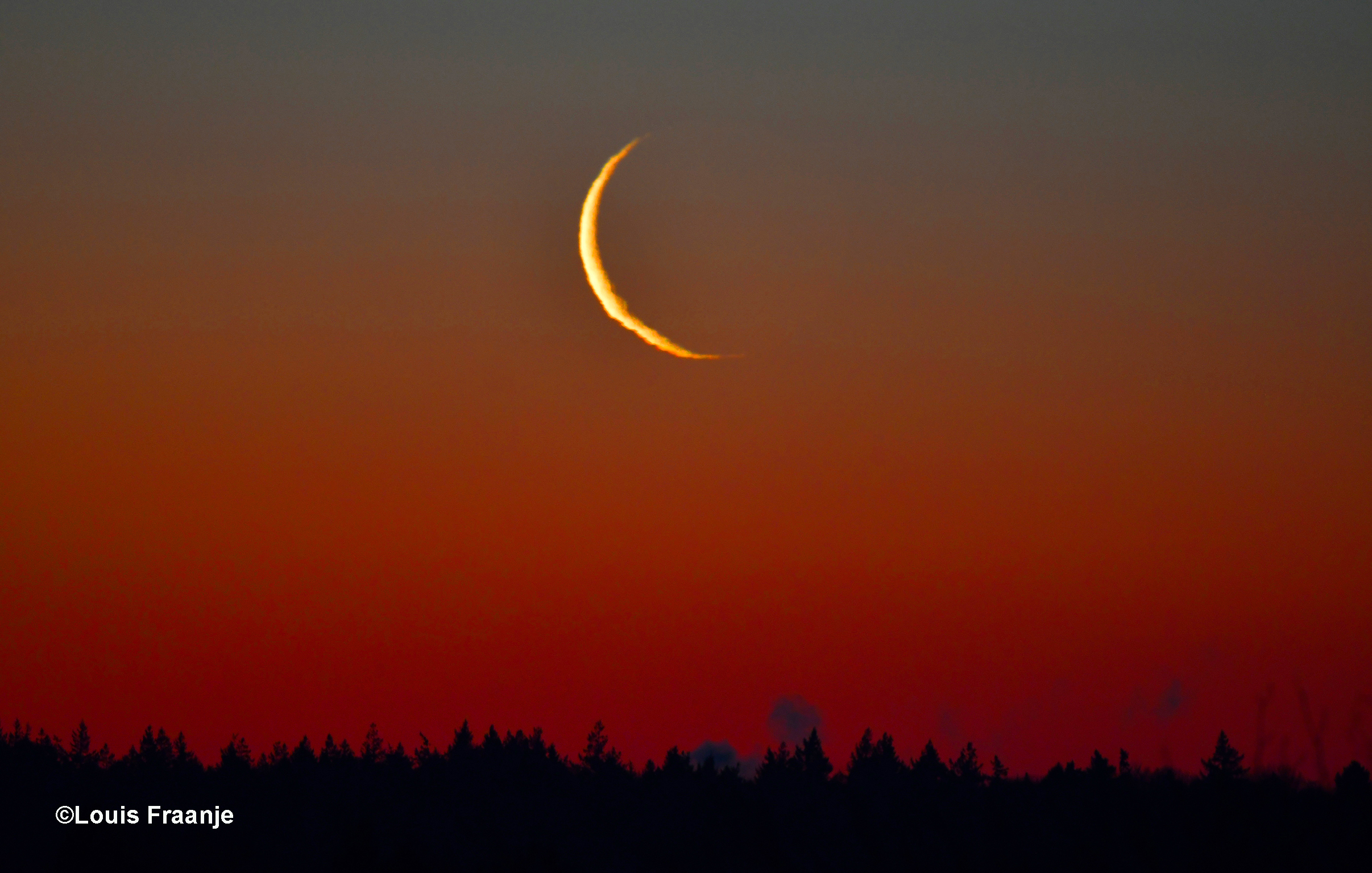 Vanmorgen vroeg stond om 07.40 uur de maan als een goudgele sikkel boven de horizon. Heel vaag is ook de rest van de maan zichtbaar als je de circel rondtrekt. - Foto: ©Louis Fraanje