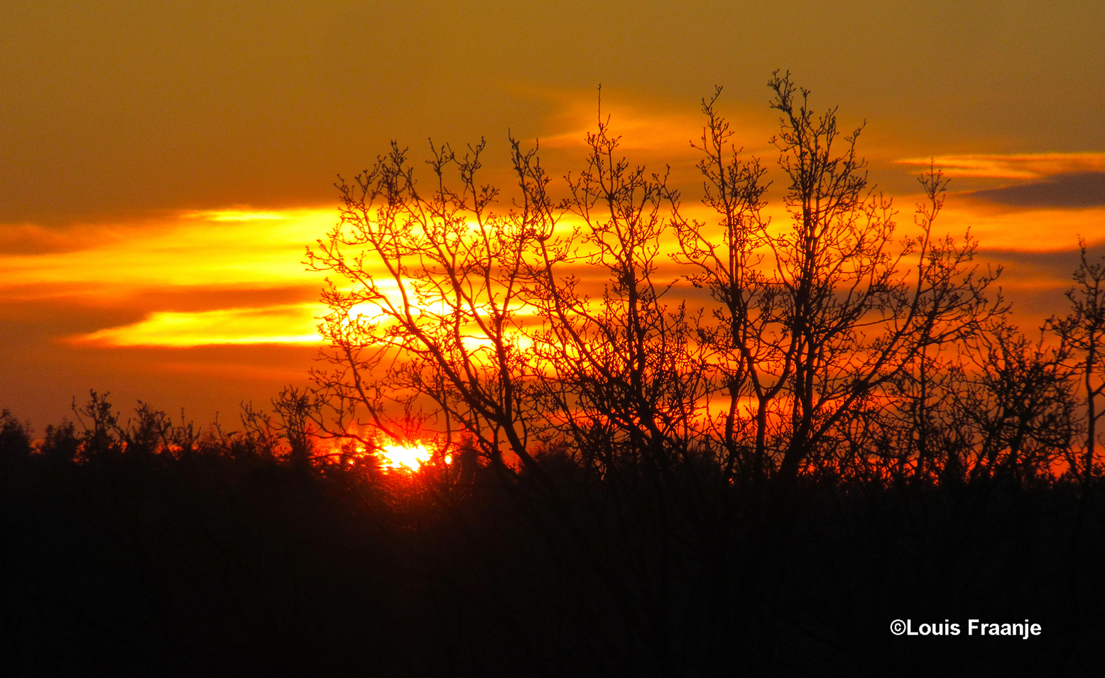 Het leek wel of de zon in 'goud' gehuld was, ook de boomtakken er omheen, zo mooi! - Foto: ©Louis Fraanje