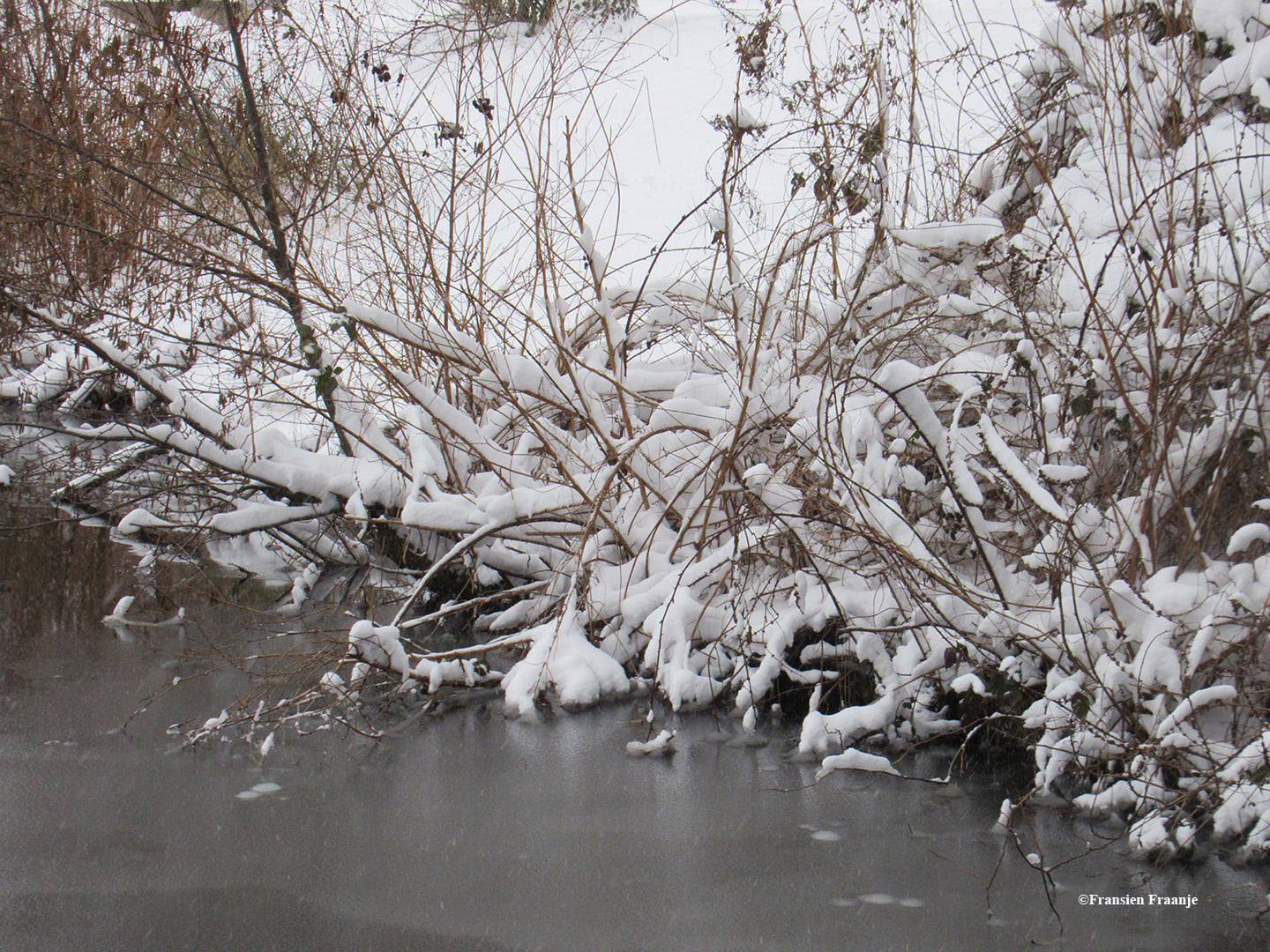 Een prachtig besneeuwd hoekje onderaan bij het water - Foto: ©Fransien Fraanje