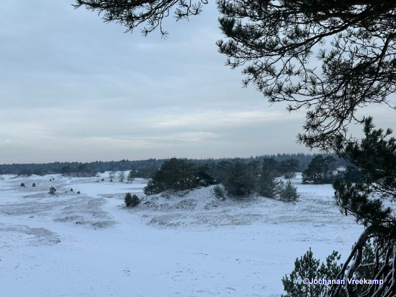 Het Kootwijkerzand is in de winter een vlekkeloos wit dwaalterrein – Foto: ©Jochanan Vreekamp