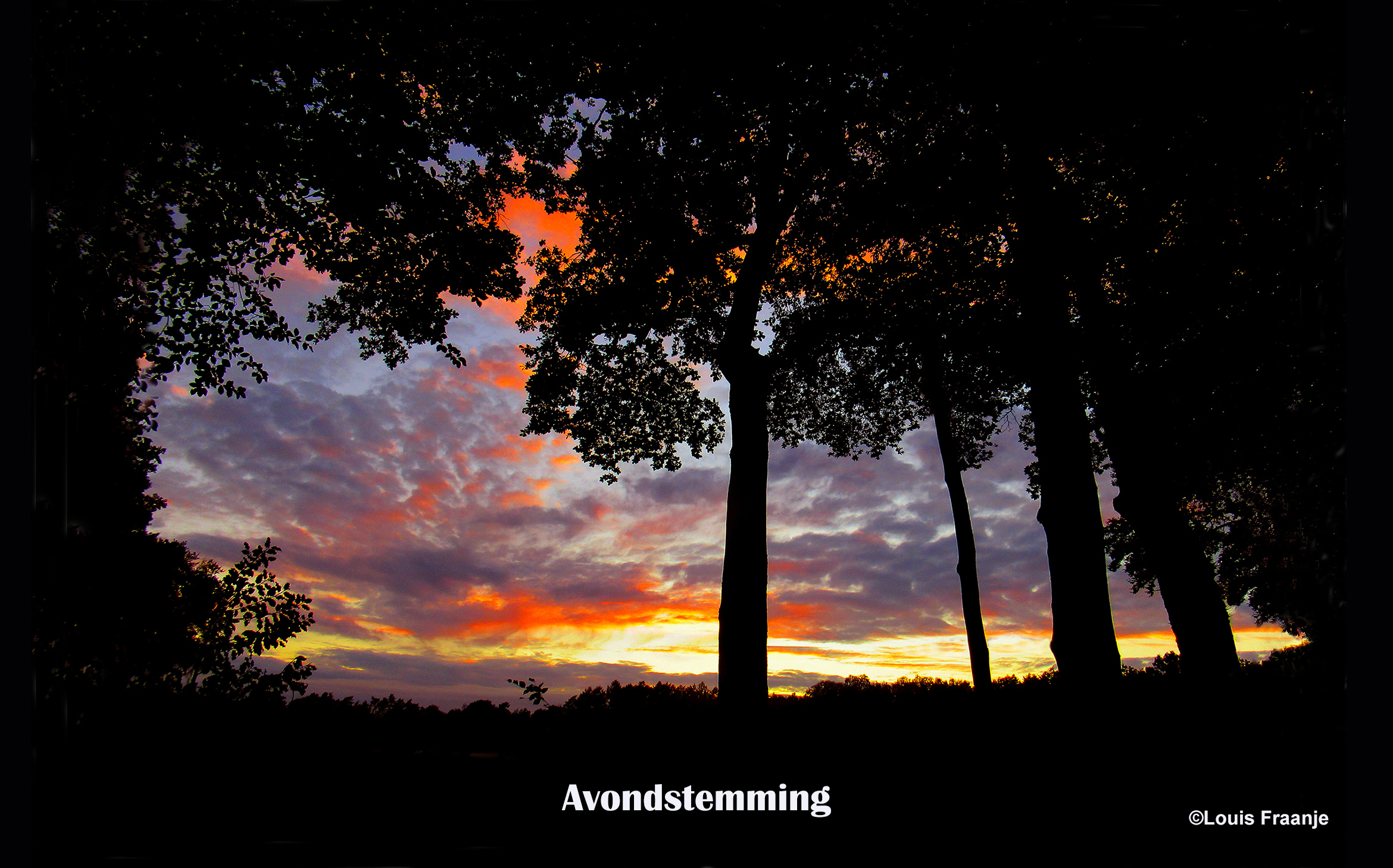 Tussen de bomen en struiken genieten van de vallende avond – Foto: ©Louis Fraanje