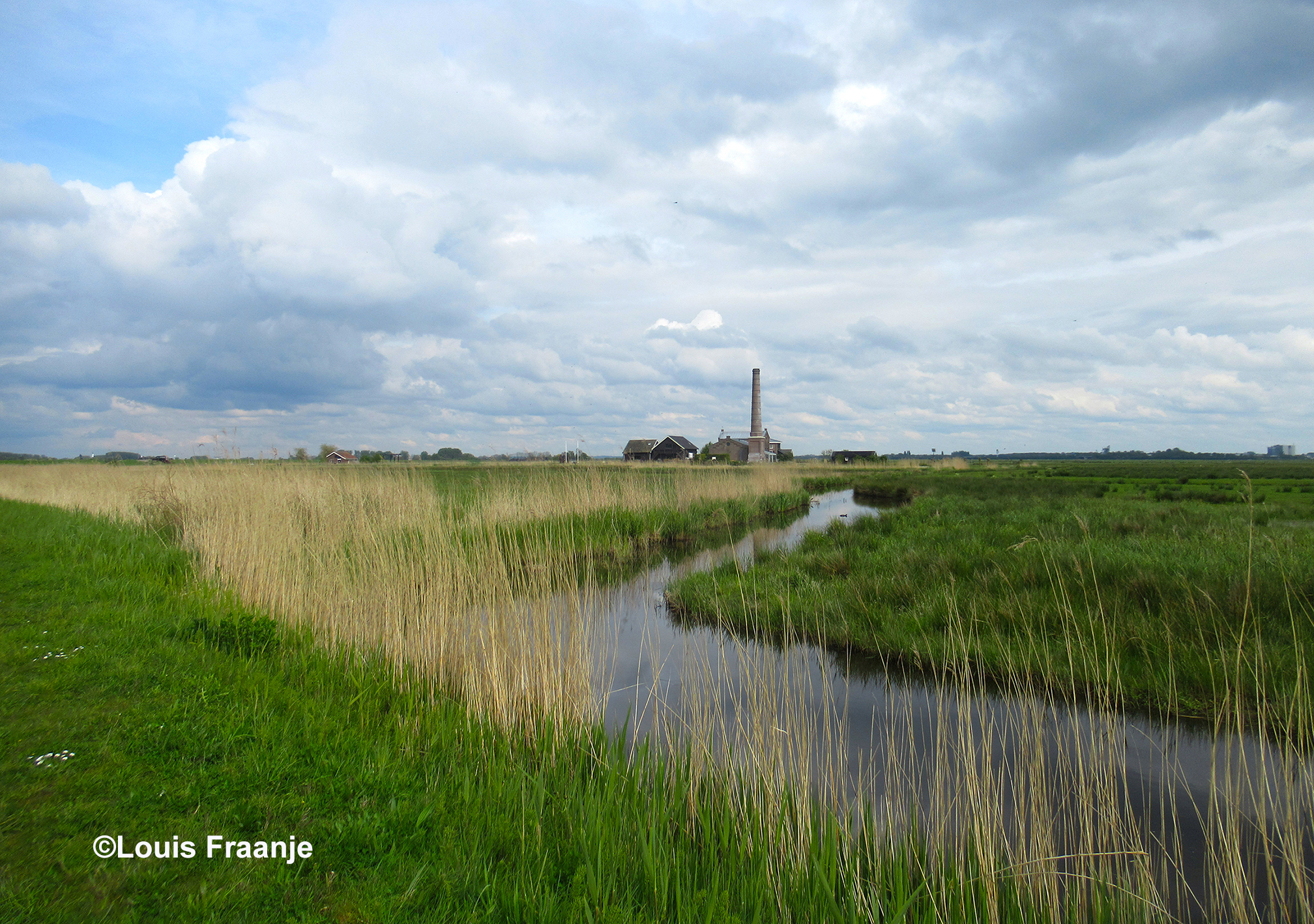 Achteraan in de polder hebben wij weer een schitterend doorkijkje naar het stoomgemaal - Foto: ©Louis Fraanje