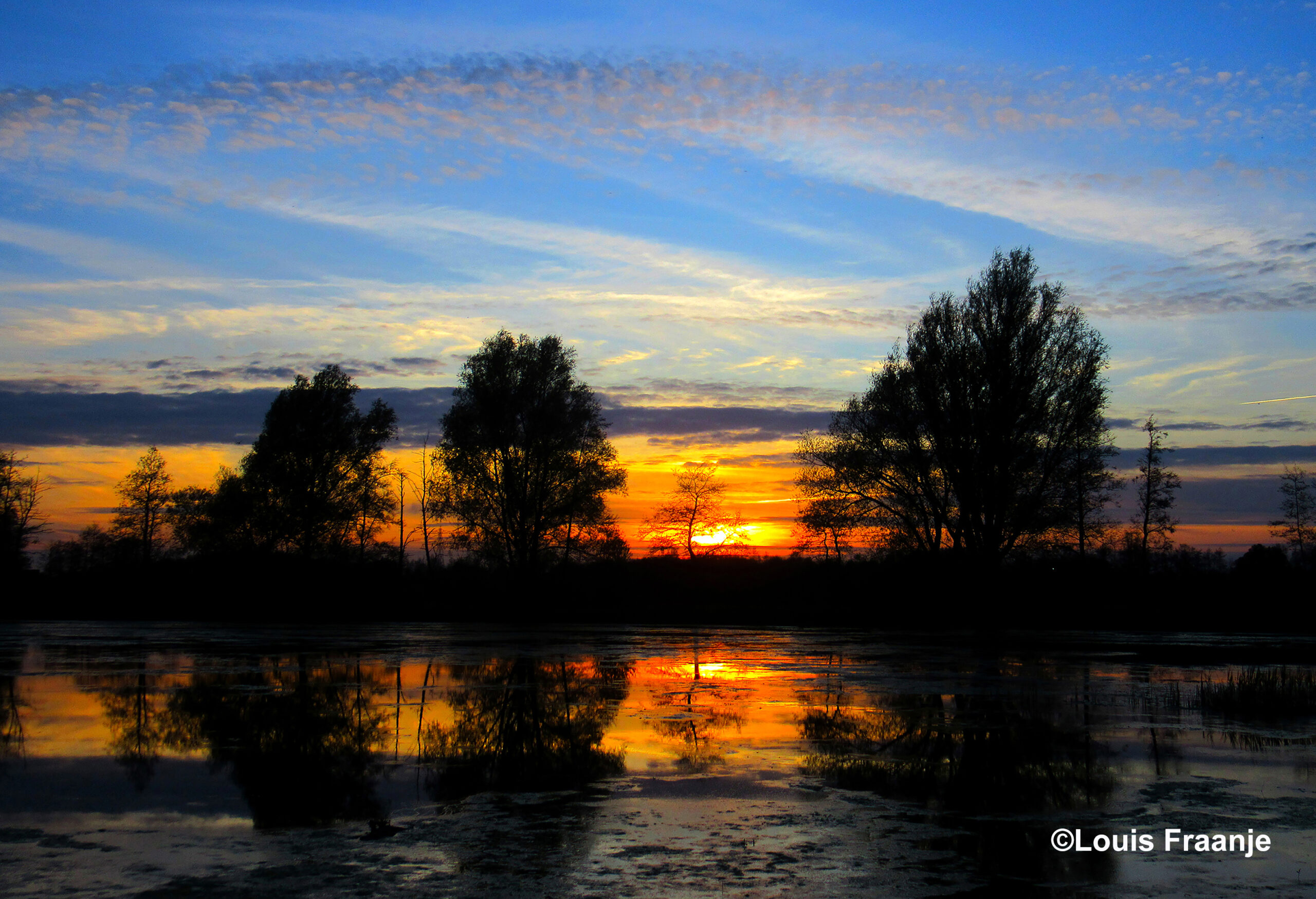 De avondzon zakt achter de horizon en laat haar laatste licht over het moeras schijnen - Foto: ©Louis Fraanje