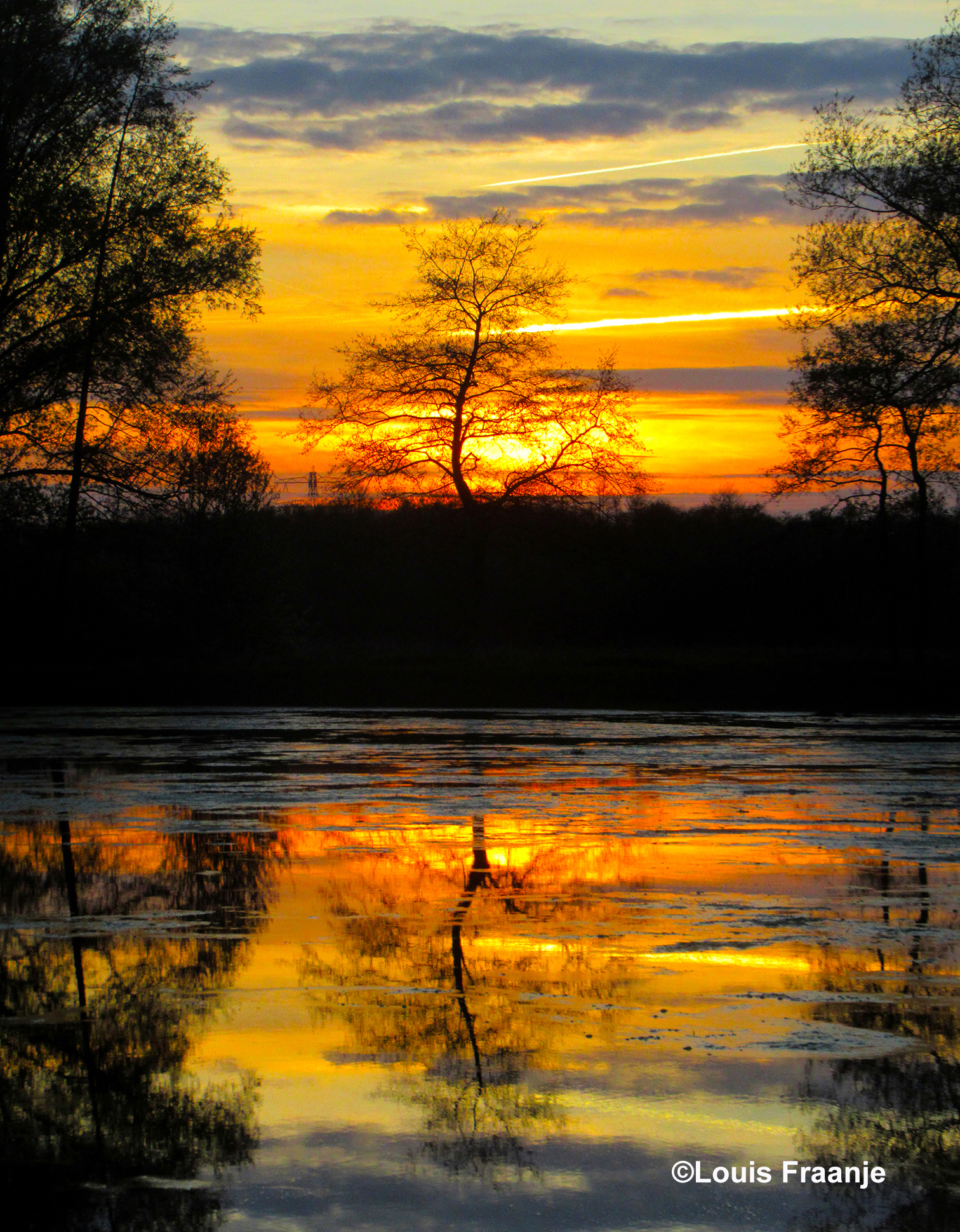 Een kleurrijke weerspiegeling in het water tussen de bomen en struiken van het Rauwe Veld - Foto: ©Louis Fraanje