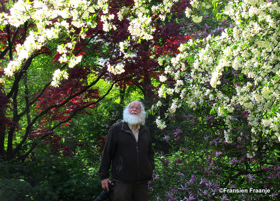 Urenlang dwalen en dromen, tussen al die bloeiende bomen - Foto: ©Fransien Fraanje