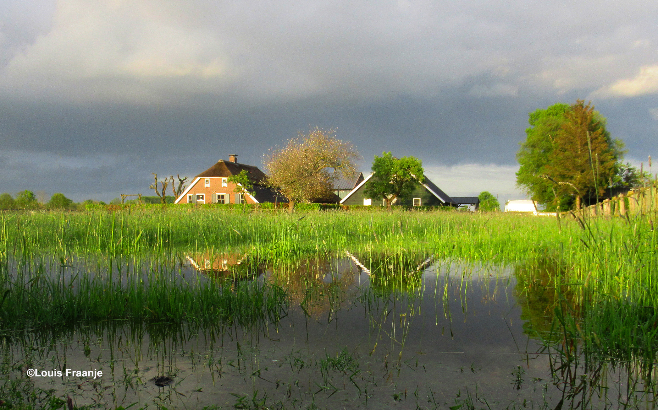 Weerspiegeling een prachtig oud boerderijtje in een grote waterplas op de Veluwe – Foto: ©Louis Fraanje